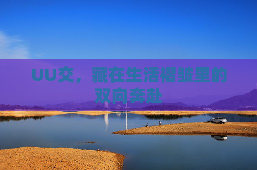 UU交，藏在生活褶皱里的双向奔赴