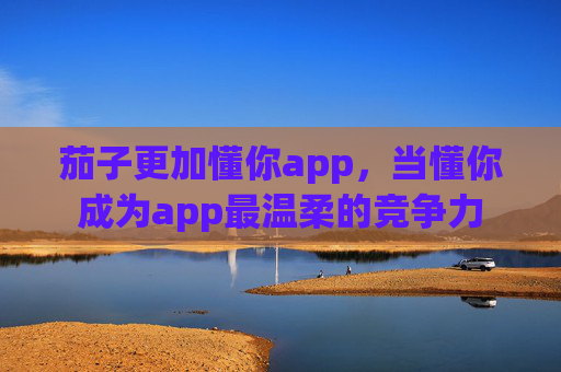 茄子更加懂你app，当懂你成为app最温柔的竞争力