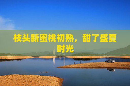 枝头新蜜桃初熟,甜了盛夏时光 枝头新蜜桃初熟,甜了盛夏时光