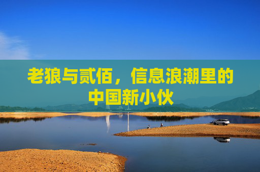 老狼与贰佰,信息浪潮里的中国新小伙 老狼与贰佰,信息浪潮里的中国新小伙