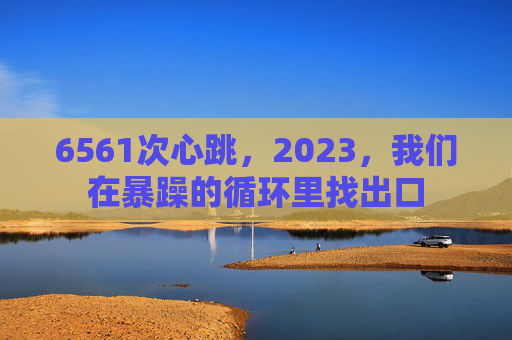 6561次心跳,2023,我们在暴躁的循环里找出口 6561次心跳,2023,我们在暴躁的循环里找出口