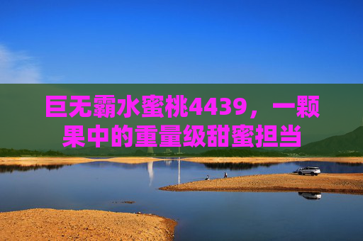 巨无霸水蜜桃4439,一颗果中的重量级甜蜜担当 巨无霸水蜜桃4439,一颗果中的重量级甜蜜担当