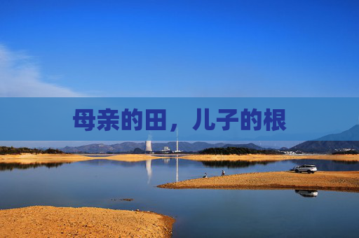 母亲的田,儿子的根 母亲的田,儿子的根
