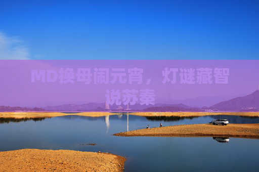 MD换母闹元宵，灯谜藏智说苏秦