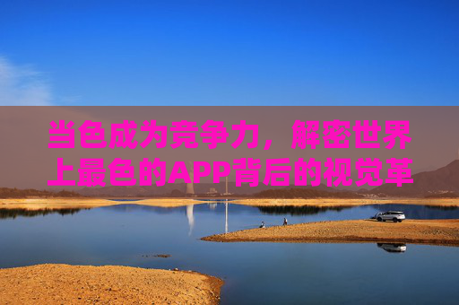 当色成为竞争力，解密世界上最色的APP背后的视觉革命