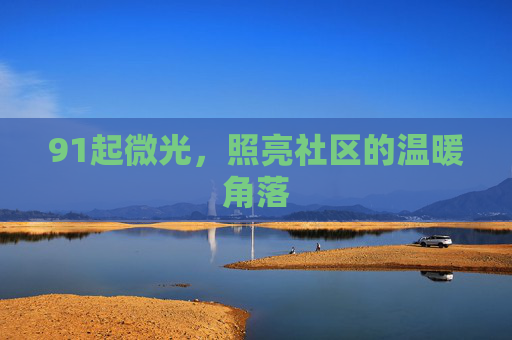 91起微光,照亮社区的温暖角落 91起微光,照亮社区的温暖角落