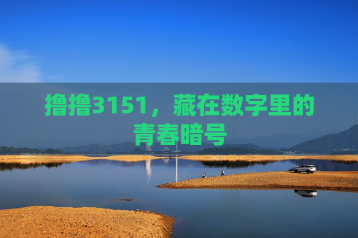 撸撸3151,藏在数字里的青春暗号 撸撸3151,藏在数字里的青春暗号
