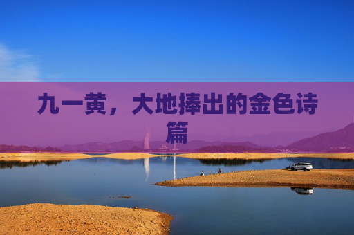 九一黄,大地捧出的金色诗篇 九一黄,大地捧出的金色诗篇