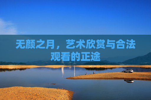 无颜之月，艺术欣赏与合法观看的正途