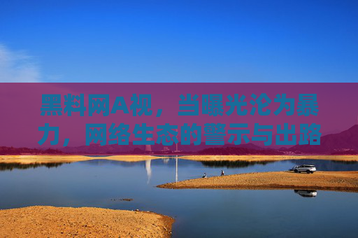 黑料网A视,当曝光沦为暴力,网络生态的警示与出路 黑料网A视,当曝光沦为暴力,网络生态的警示与出路