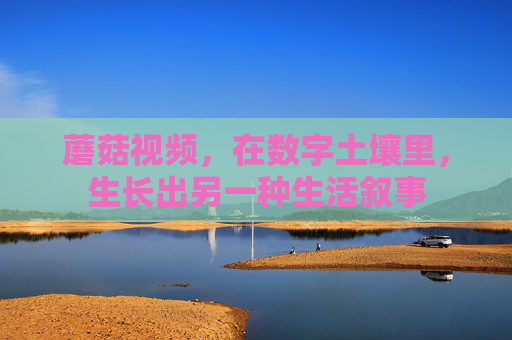 蘑菇视频,在数字土壤里,生长出另一种生活叙事 蘑菇视频,在数字土壤里,生长出另一种生活叙事