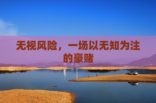 无视风险,一场以无知为注的豪赌 无视风险,一场以无知为注的豪赌