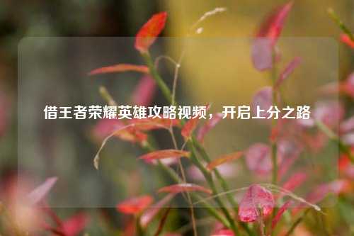 借王者荣耀英雄攻略视频，开启上分之路