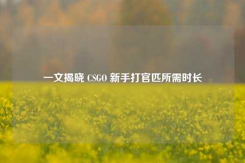 一文揭晓 CSGO 新手打官匹所需时长