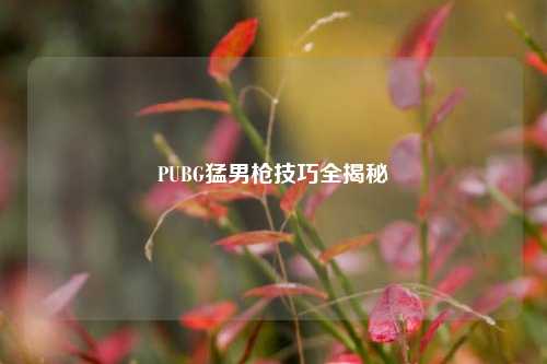 PUBG***枪技巧全揭秘