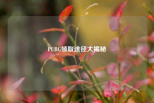 PUBG领取途径大揭秘