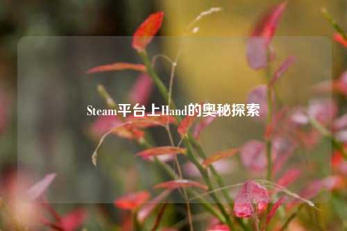 Steam平台上Hand的奥秘探索