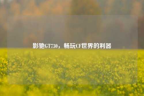 影驰GT730，畅玩CF世界的利器