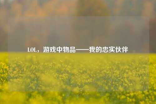 LOL，游戏中物品——我的忠实伙伴
