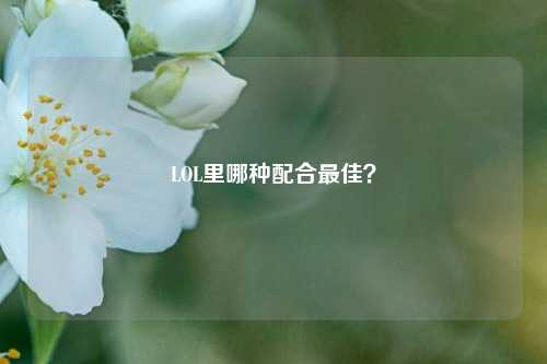 LOL里哪种配合更佳？