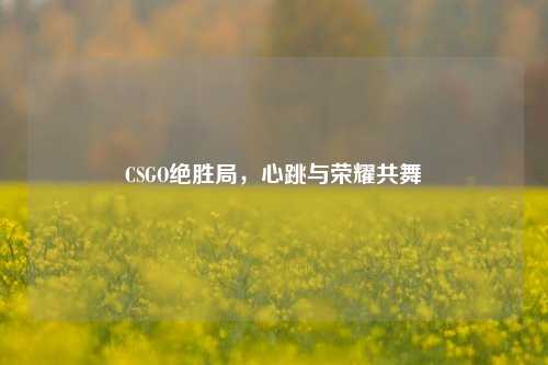 CSGO绝胜局，心跳与荣耀共舞
