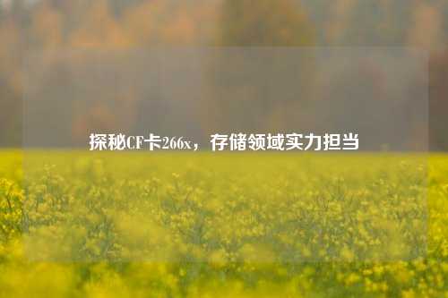 探秘CF卡266x，存储领域实力担当