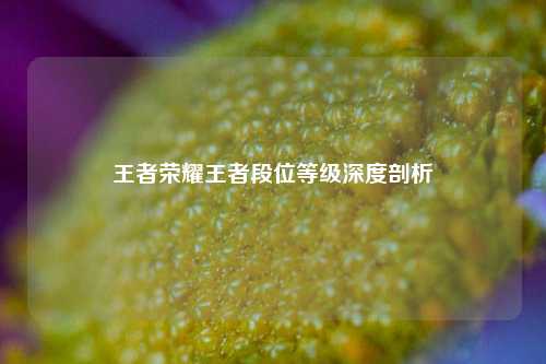 王者荣耀王者段位等级深度剖析