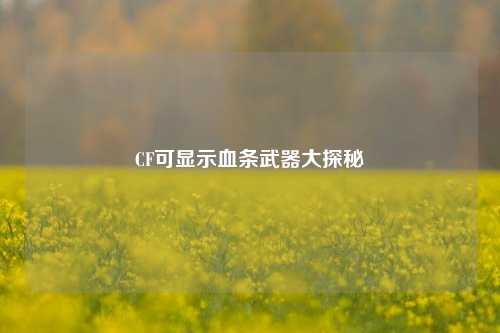CF可显示血条武器大探秘