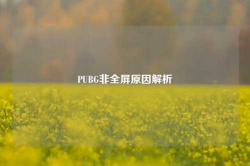 PUBG非全屏原因解析