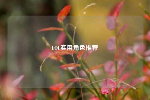 LOL实用角色推荐
