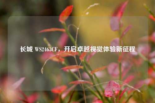 长城 WS2463CF，开启卓越视觉体验新征程