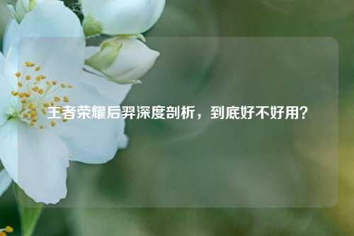 王者荣耀后羿深度剖析，到底好不好用？
