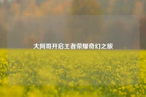 大阿哥开启王者荣耀奇幻之旅