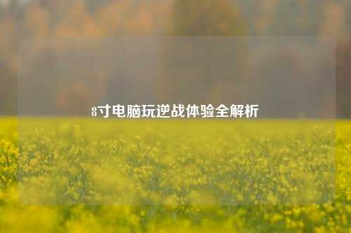 8寸电脑玩逆战体验全解析