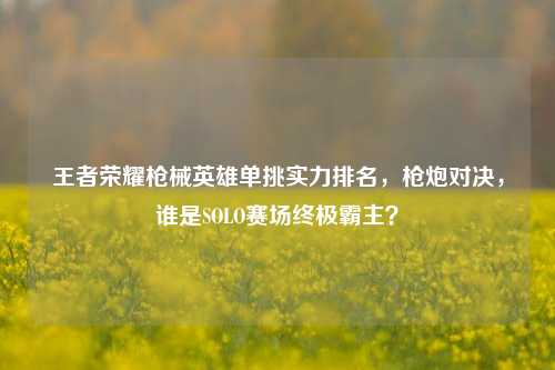 王者荣耀枪械英雄单挑实力排名,枪炮对决,谁是SOLO赛场终极霸主?
