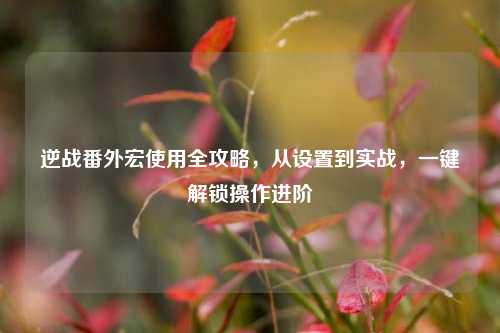 逆战番外宏使用全攻略，从设置到实战，一键解锁操作进阶