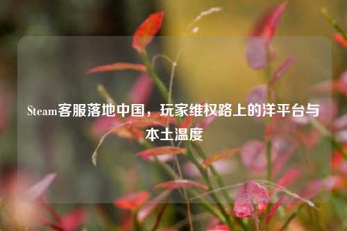 Steam *** 落地中国,玩家***路上的洋平台与本土温度