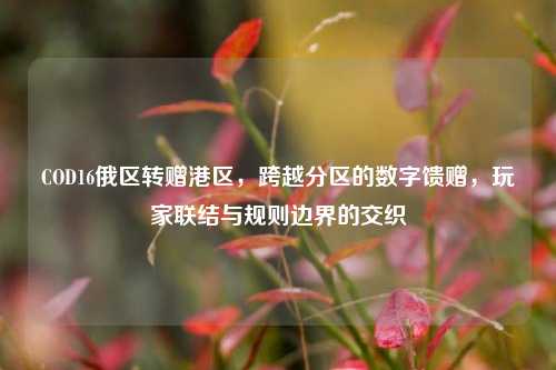 COD16俄区转赠港区,跨越分区的数字馈赠,玩家联结与规则边界的交织