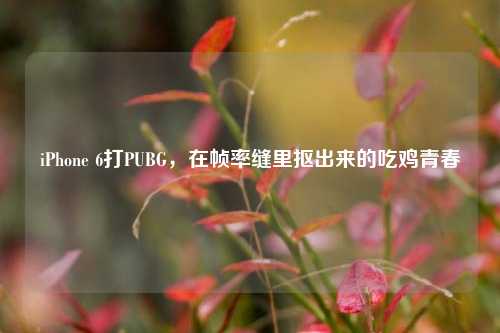 iPhone 6打PUBG，在帧率缝里抠出来的吃鸡青春