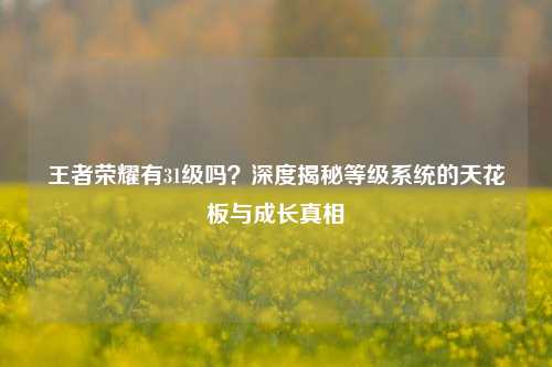 王者荣耀有31级吗?深度揭秘等级系统的天花板与成长真相
