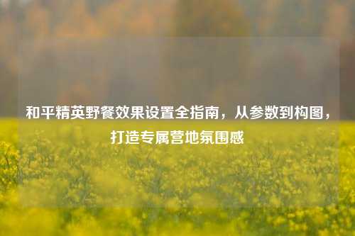 和平精英野餐效果设置全指南,从参数到构图,打造专属营地氛围感