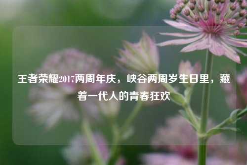 王者荣耀2017两周年庆，峡谷两周岁生日里，藏着一代人的青春狂欢