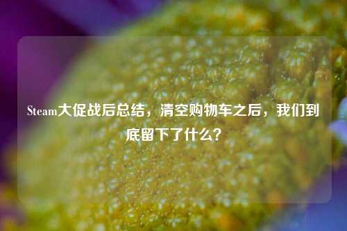 Steam大促战后总结,清空购物车之后,我们到底留下了什么?