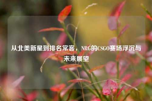 从北美新星到排名常客，NRG的CSGO赛场浮沉与未来展望