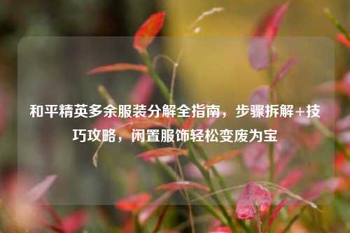 和平精英多余服装分解全指南，步骤拆解+技巧攻略，闲置服饰轻松变废为宝