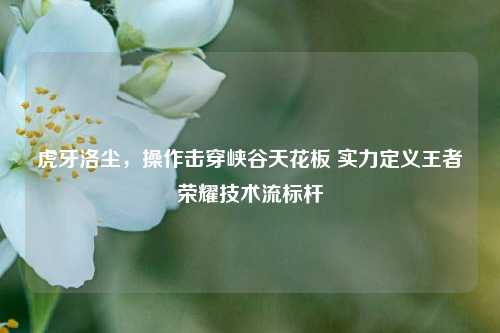 虎牙洛尘，操作击穿峡谷天花板 实力定义王者荣耀技术流标杆