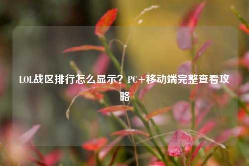 LOL战区排行怎么显示？PC+移动端完整查看攻略