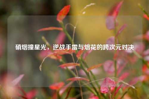 硝烟撞星光，逆战手雷与烟花的跨次元对决