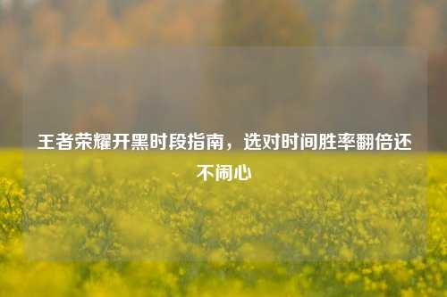 王者荣耀开黑时段指南,选对时间胜率翻倍还不闹心