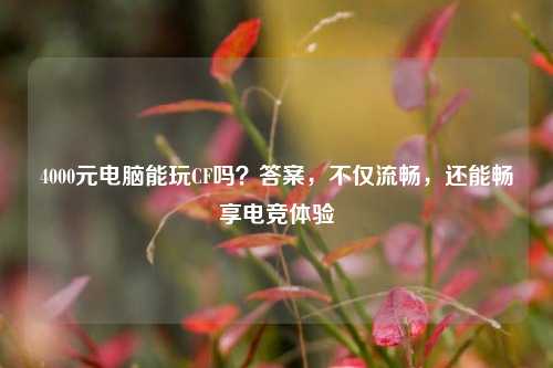 4000元电脑能玩CF吗？答案，不仅流畅，还能畅享电竞体验